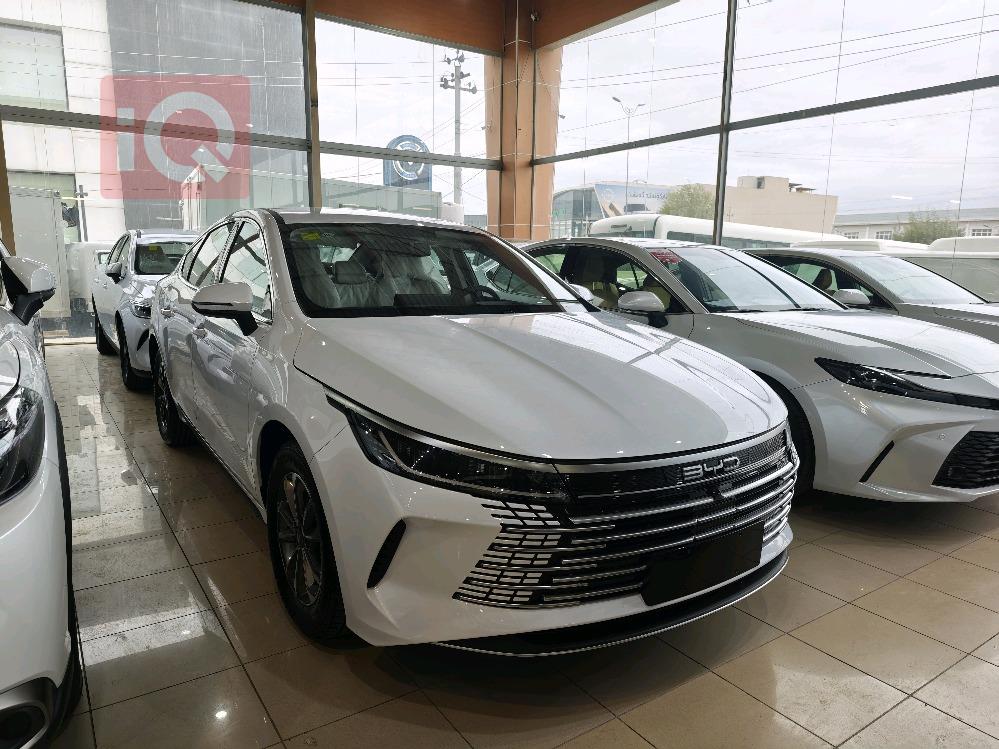 بي واي دي ديستروير 05